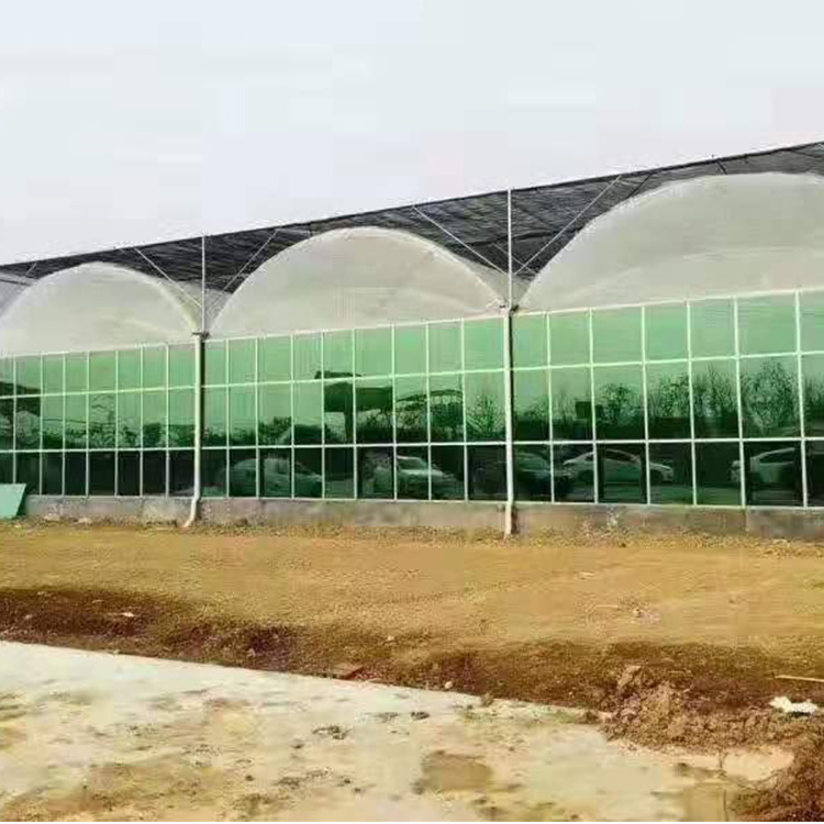 连栋温室大棚 连体温室大棚厂家认准盛之翔