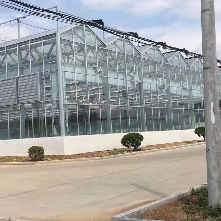 厂家专业生产玻璃温室玻璃温室大棚智能玻璃温室定制