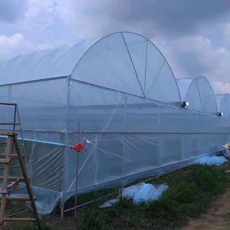 盛之翔专业生产温室大棚_蔬菜大棚_蔬菜大棚造价专业定制