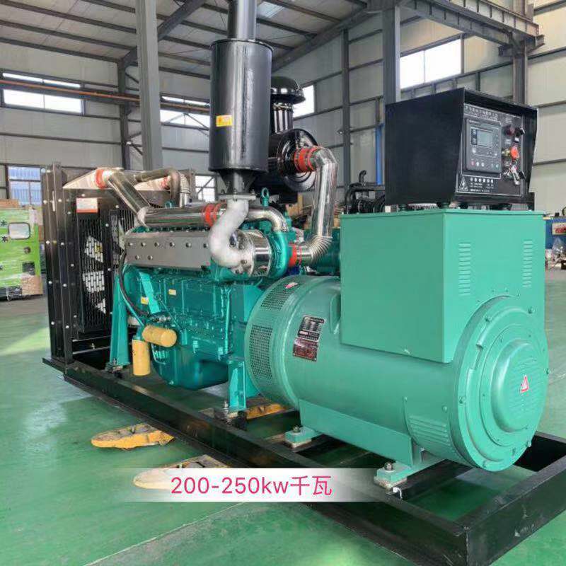 潍坊动力 200kw 柴油发电机组-厂家供应-全铜无刷