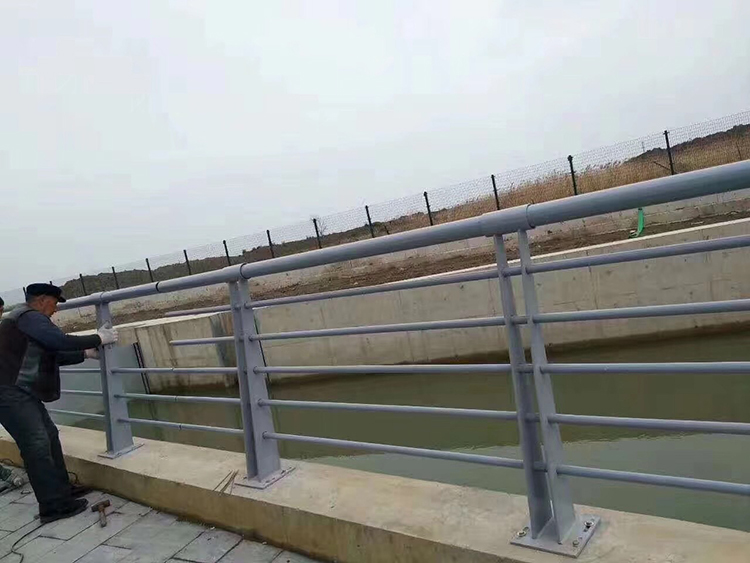 桥梁护栏 云滴供应桥梁道路护栏网