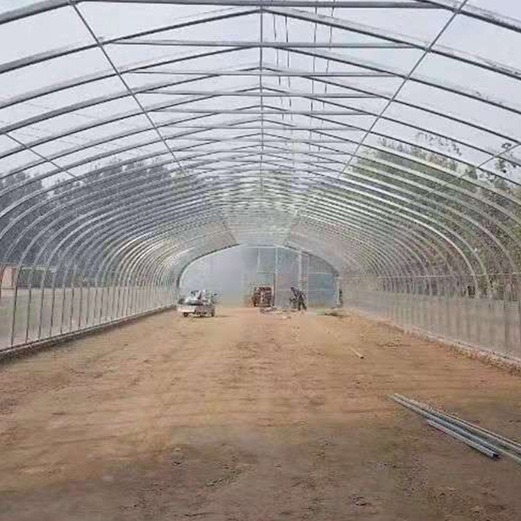 盛之翔厂家专业定制温室大棚_蔬菜大棚_温室大棚骨架