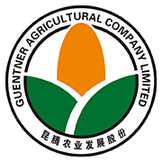 潍坊昆腾农业发展股份有限公司 标志