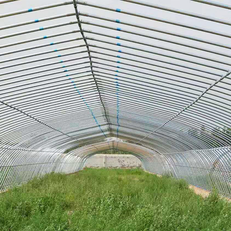 连栋大棚-盛之翔连栋蔬菜大棚