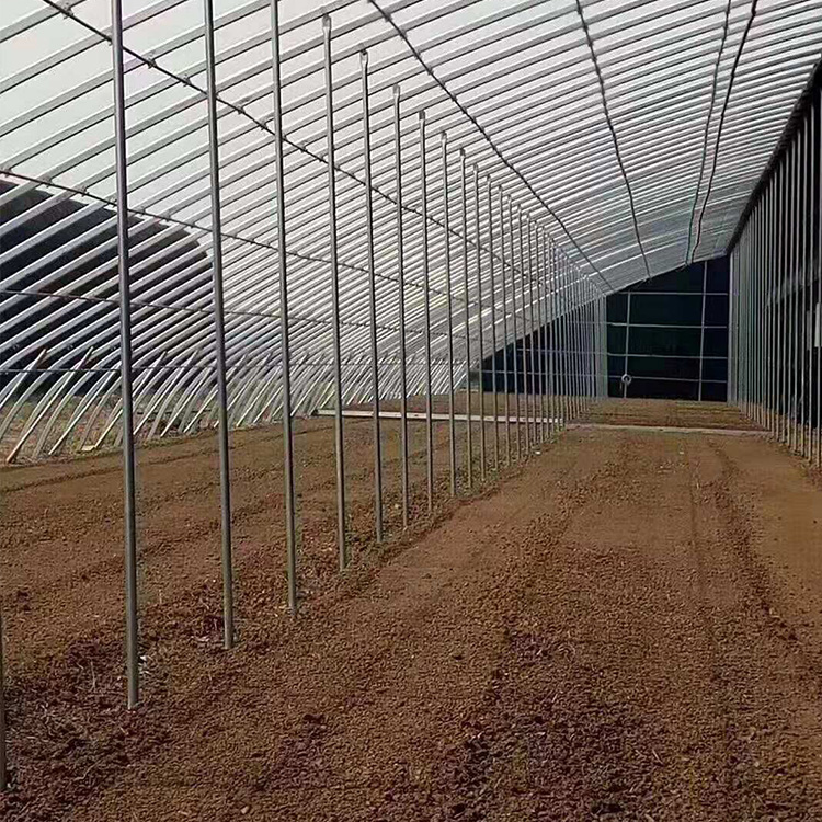 厂家专业定制温室大棚_新型温室大棚_蔬菜大棚