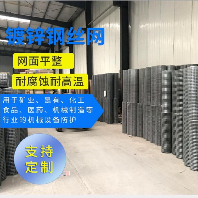镀锌电焊网镀锌电焊网电焊网