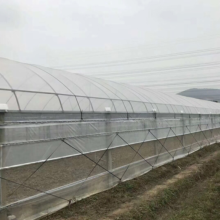 温室大棚_新型温室大棚_温室大棚骨架_专业供应