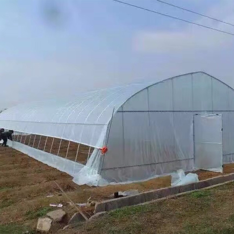 盛之翔温室_蔬菜大棚生产厂家_专业供应蔬菜大棚