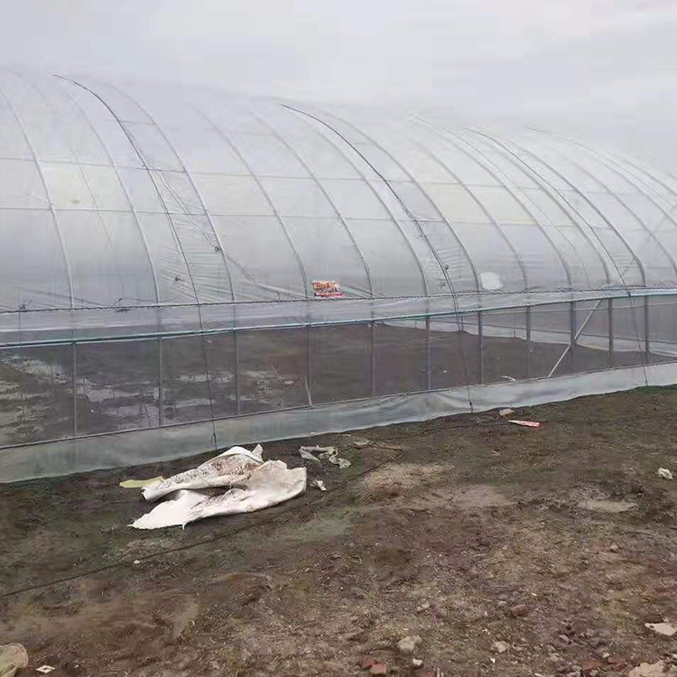 蔬菜大棚建设_专业供应蔬菜大棚骨架