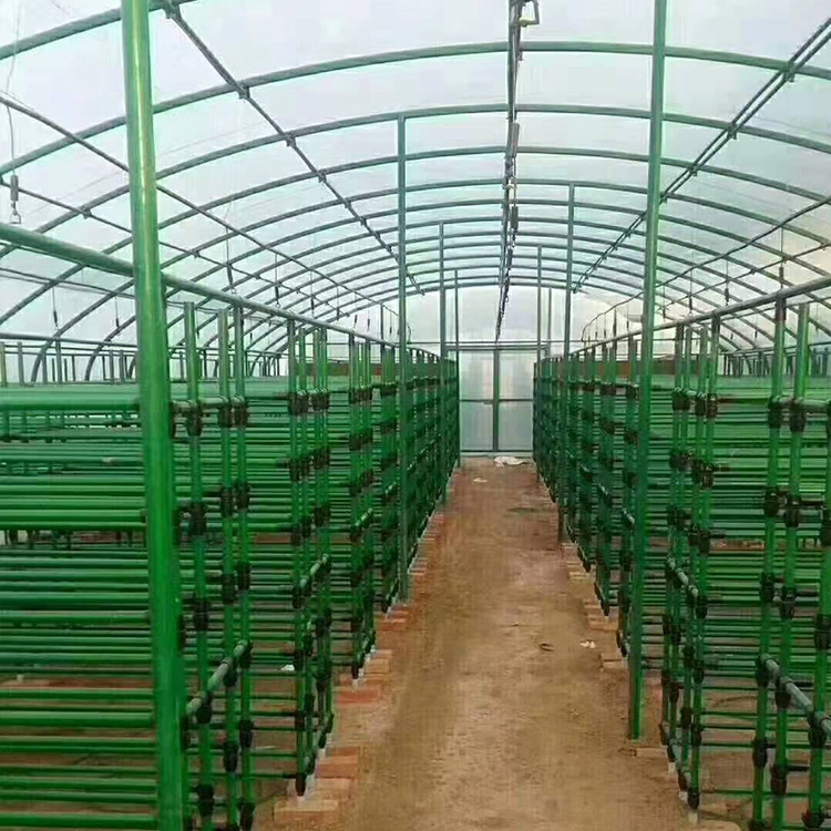 专业提供蔬菜大棚骨架厂家直销专业定制