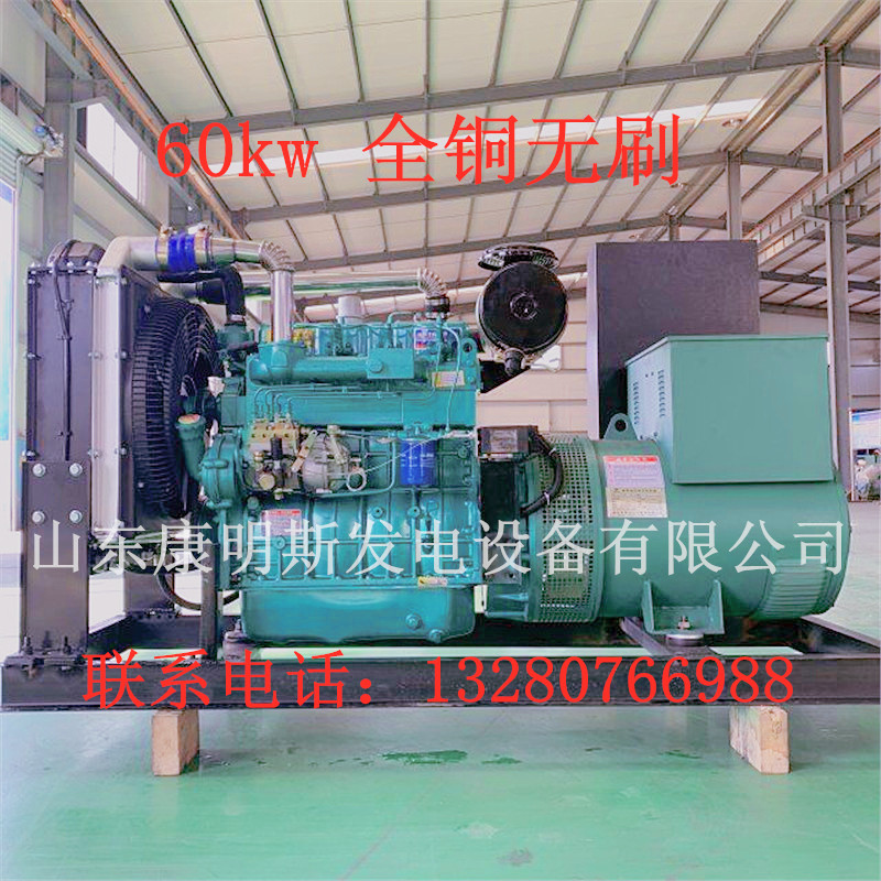 潍坊动力 60kw-柴油发电机组-纯铜无刷-生产-厂家供应