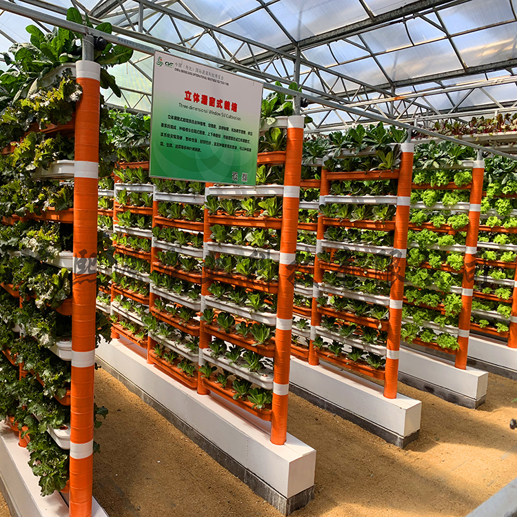 漏窗种植 无土栽培厂家 水培蔬菜种植 营养液种植 高产