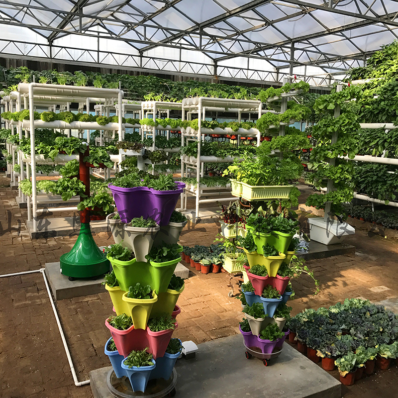 一米菜园种植 阳台绿化 无土栽培 水培架 方便管理