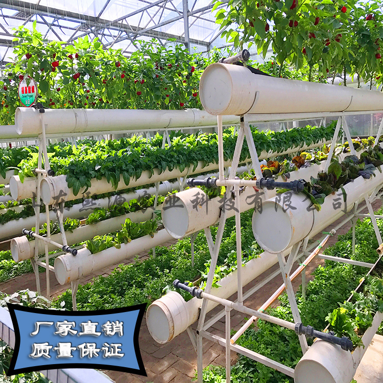 草莓架 蔬菜支架种植 无土栽培 基质栽培 花架