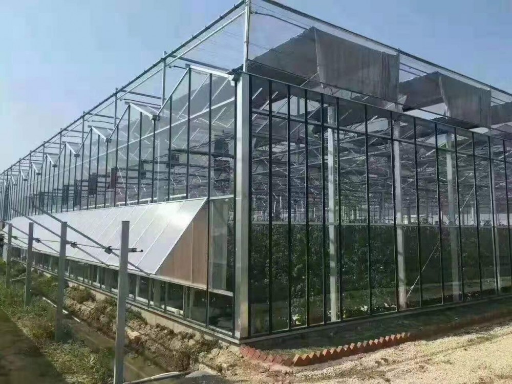 建一个温室大棚需要多少钱