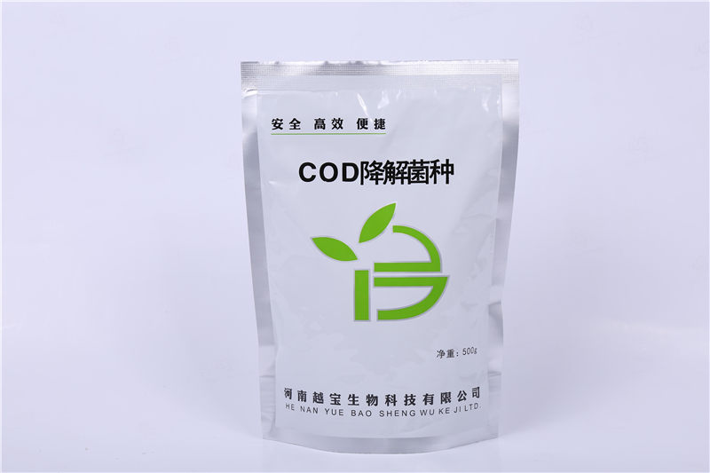 COD降解菌种,越宝COD降解菌种厂家,净化水质