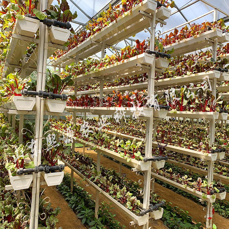 厂家直销无土栽培设施 栽培槽种植 种植槽 基质栽培水培工程