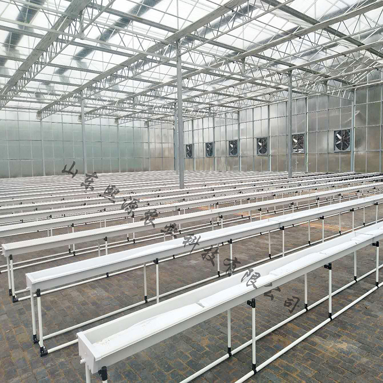 椰糠栽培 果菜种植 荷兰模式西红柿种植 番茄栽培厂家供应