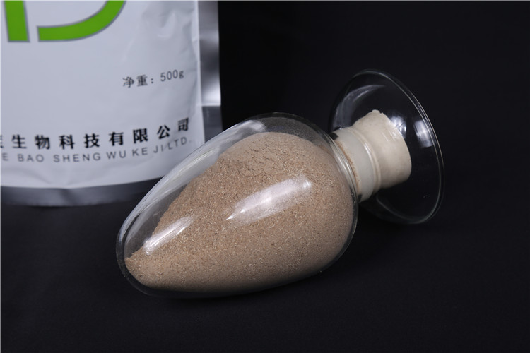 浮泥清厂家直销 工业废水处理 消除泡沫 改善污泥膨胀菌种 越宝-河南浮泥清厂家