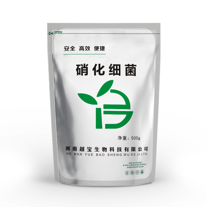 硝化菌种,越宝硝化菌种厂家,快速降低水体中氨氮指标