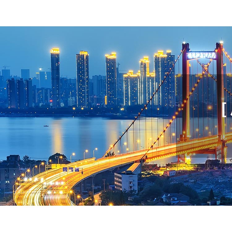 重庆宝上电缆有限公司 标志