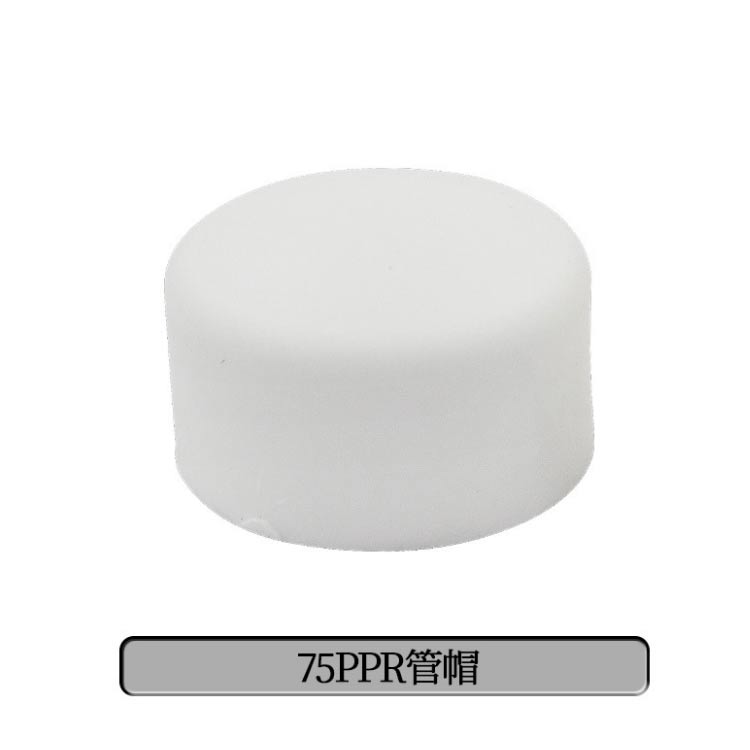 PPR水管管帽试压堵头闷头ppr水管管件配件
