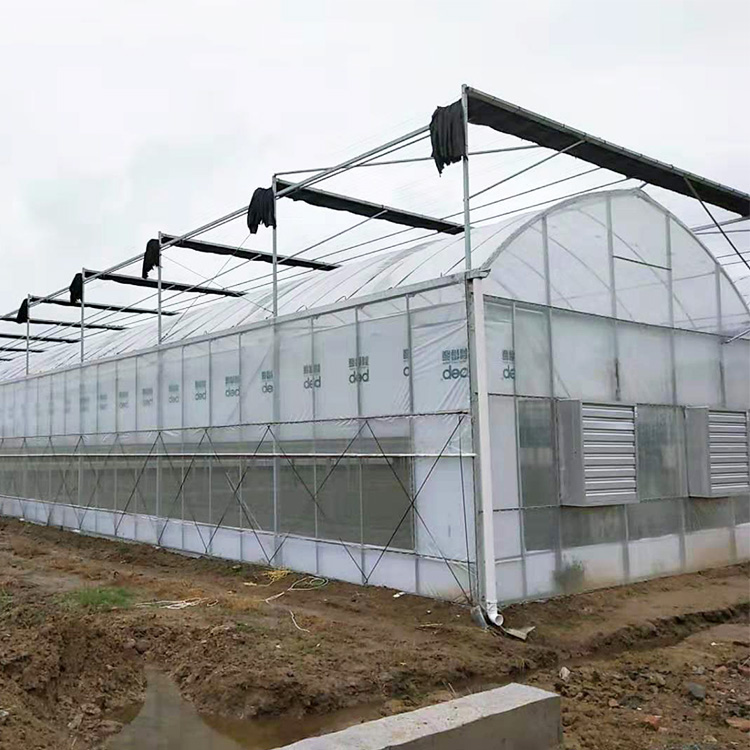 江苏玻璃温室大棚  江苏温室大棚骨架直销 江苏温室大棚造价