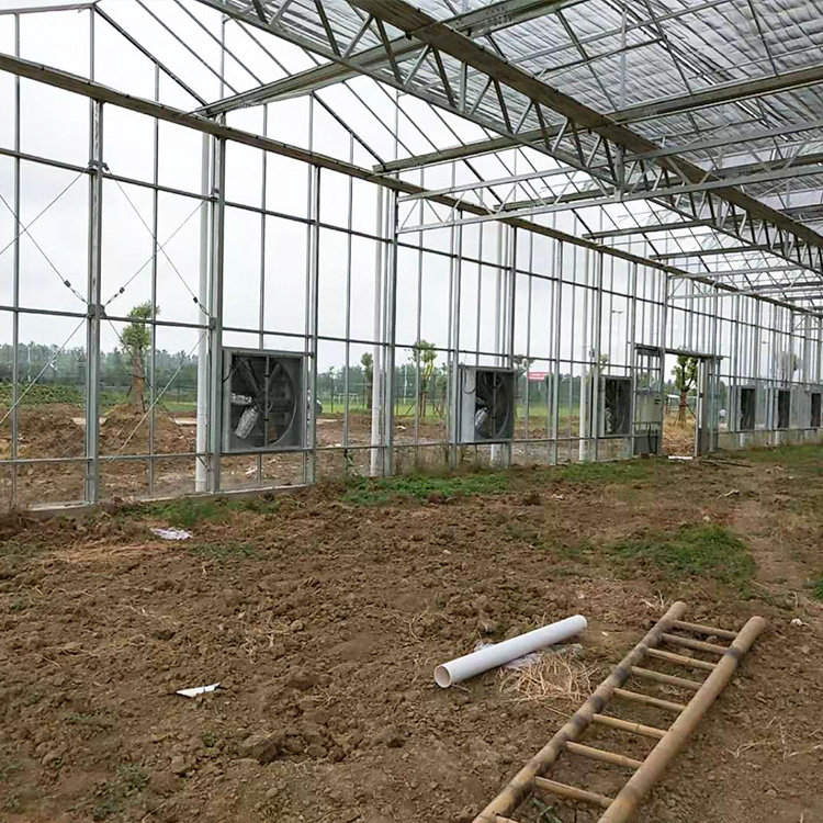 连栋大棚_连栋温室大棚 厂家直销 按需定制