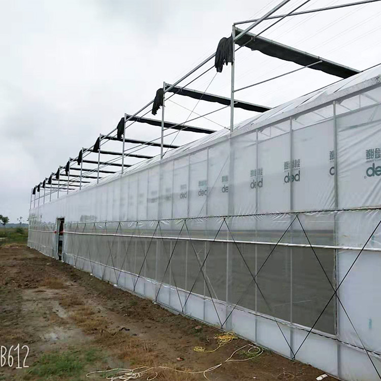 厂家定制温室大棚 玻璃温室 智能玻璃温室大棚