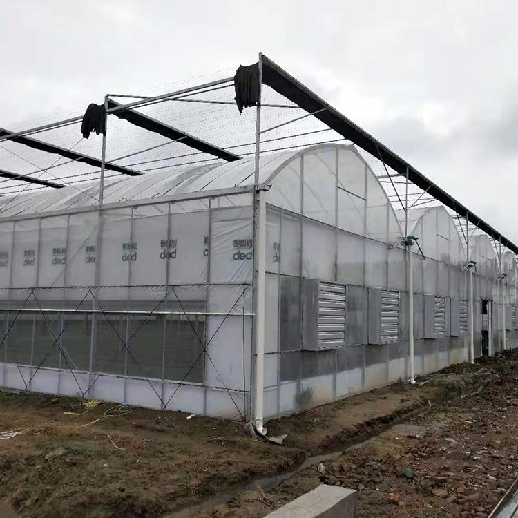 盛之翔连栋温室大棚 厂家直销智能玻璃温室大棚 大棚骨架