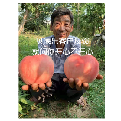 湖北河南桃子李子专用水溶肥料贝德乐有机水溶肥桃子怎么施肥卖价高