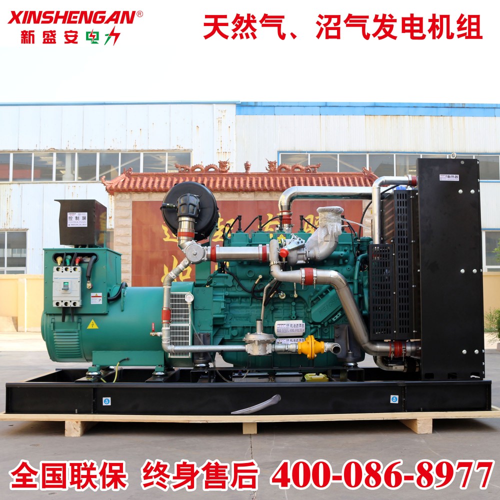 200kW潍柴沼气发电机组燃气发电机组天然气发电机组潍柴发电机组
