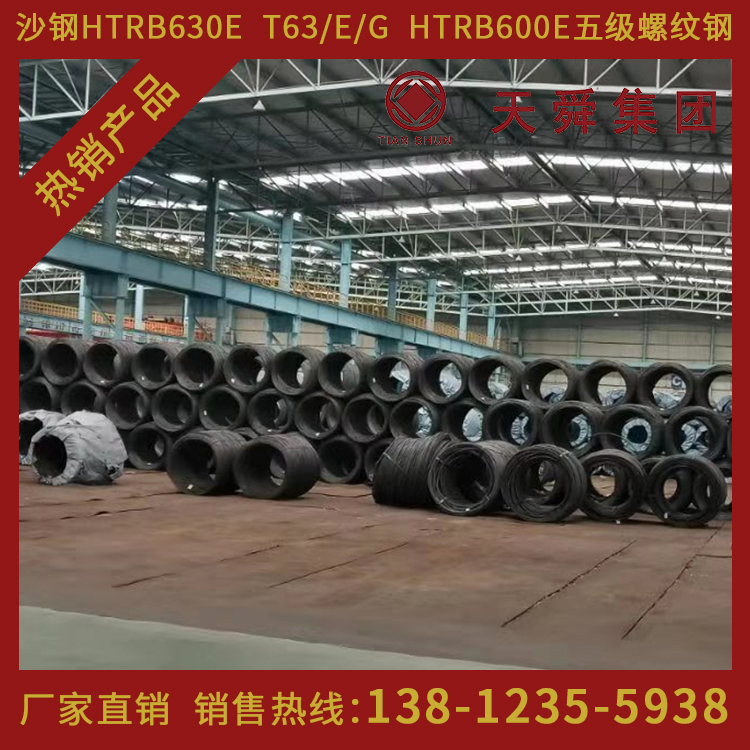 HTRB600天舜T63热处理带肋高强钢筋600高强钢筋φ6mm厂家直销
