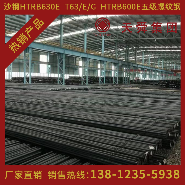 HTRB600天舜T63热处理带肋高强钢筋600高强钢筋φ10mm厂家直销