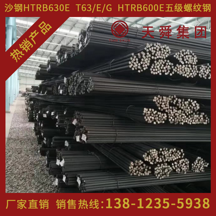 HTRB600天舜T63热处理带肋高强钢筋600高强钢筋φ12mm厂家直销