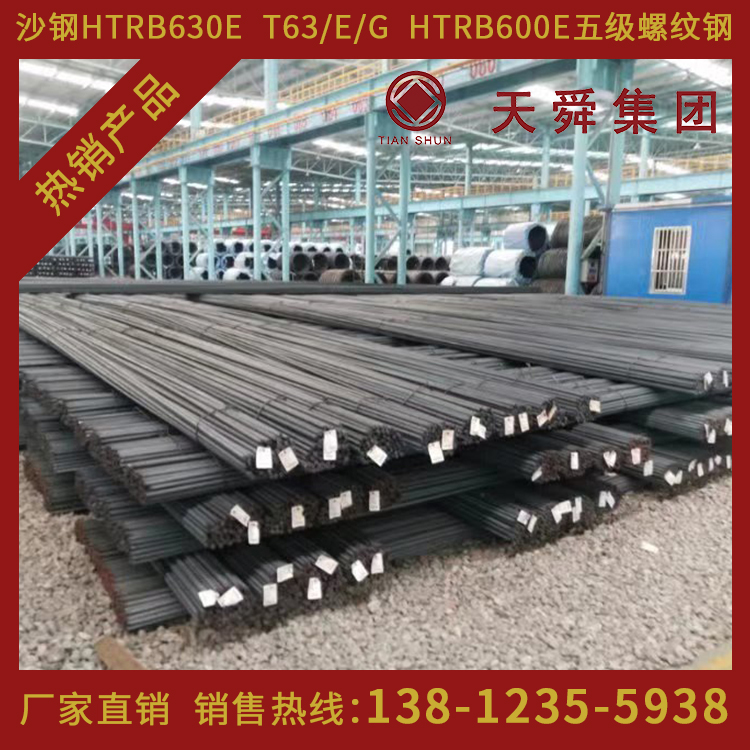 HTRB600天舜T63热处理带肋高强钢筋600高强钢筋φ14mm厂家直销