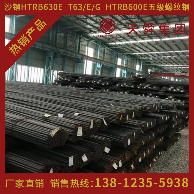 HTRB600天舜T63热处理带肋高强钢筋600高强钢筋φ18mm厂家直销