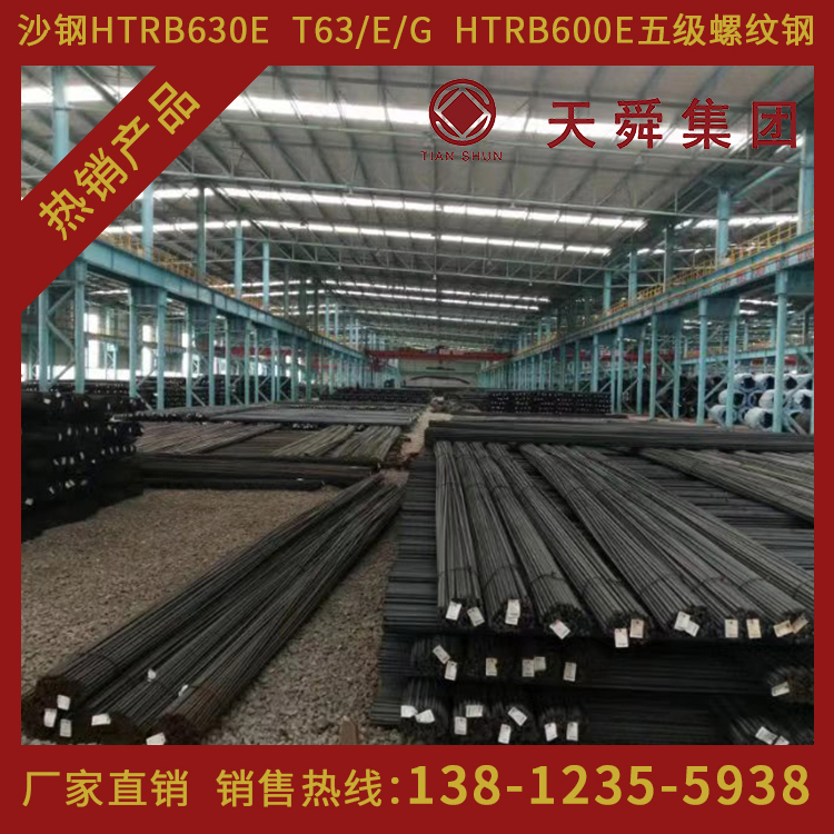 HTRB600天舜T63热处理带肋高强钢筋600高强钢筋φ20mm厂家直销