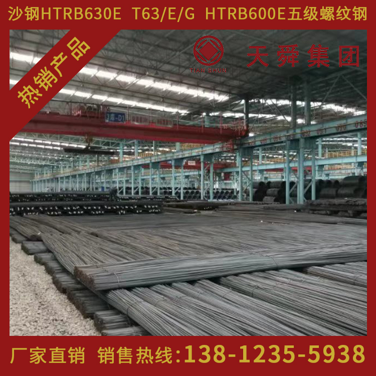 HTRB600天舜T63热处理带肋高强钢筋600高强钢筋φ22mm厂家直销