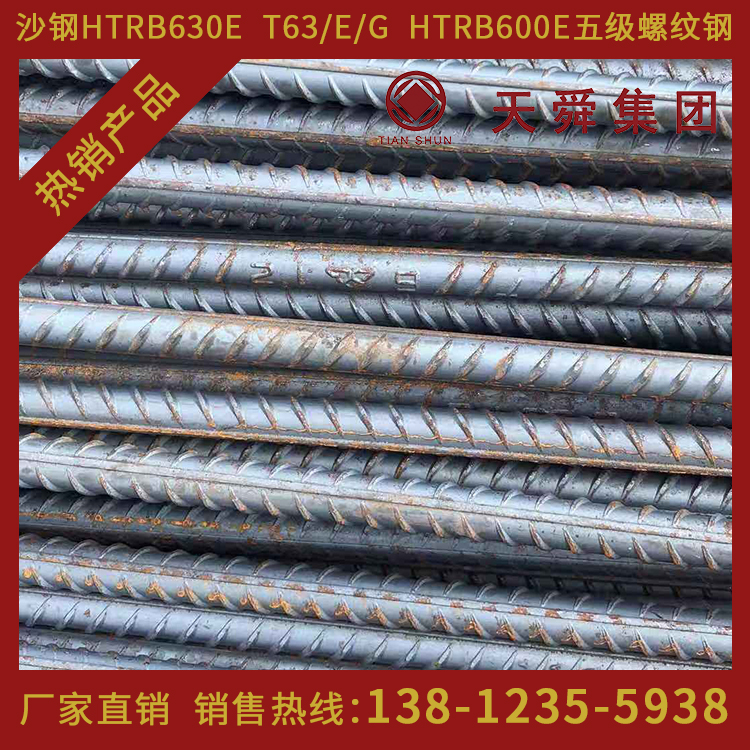 HTRB600天舜T63热处理带肋高强钢筋600高强钢筋φ25mm厂家直销