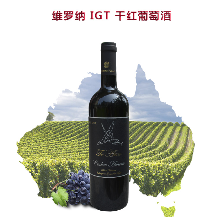 爱的代码PIN1314干红葡萄酒原装原瓶进口葡萄酒