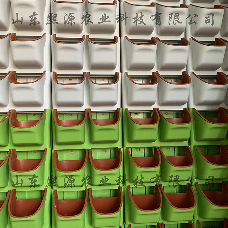 绿化墙 生态墙 隔断墙 墙体种植 立式栽培 基质培水培蔬菜