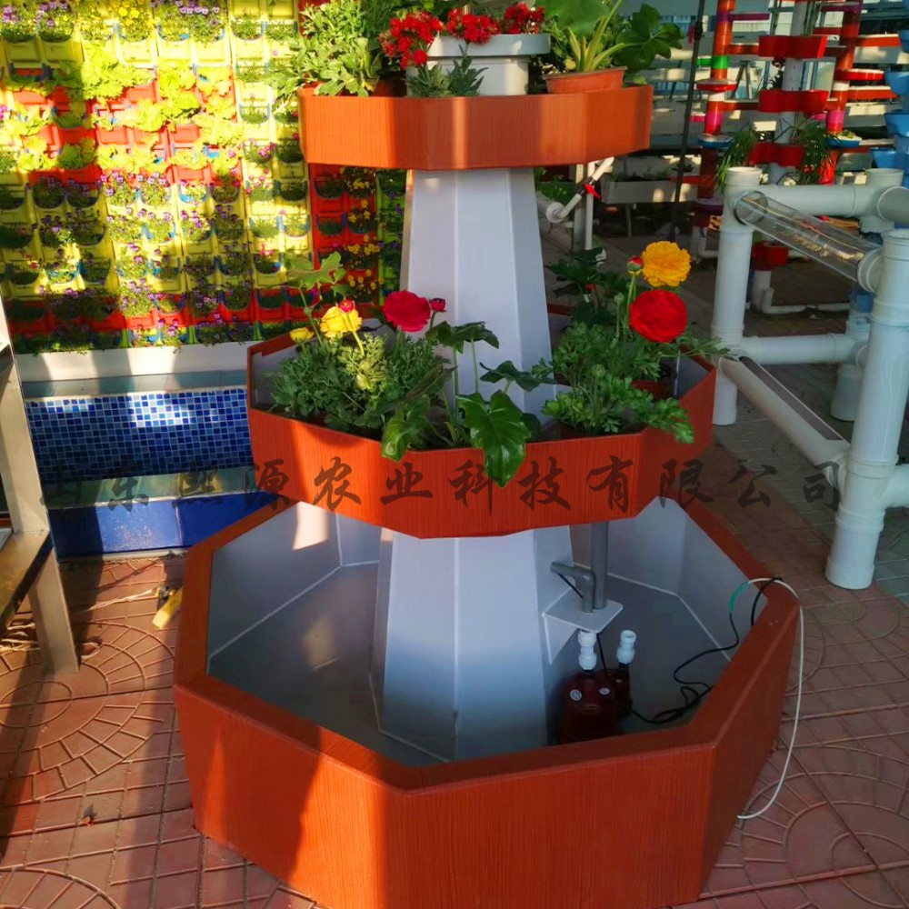 生态农业 循环农业 鱼菜共生 叶菜种植 水培蔬菜 有机蔬菜