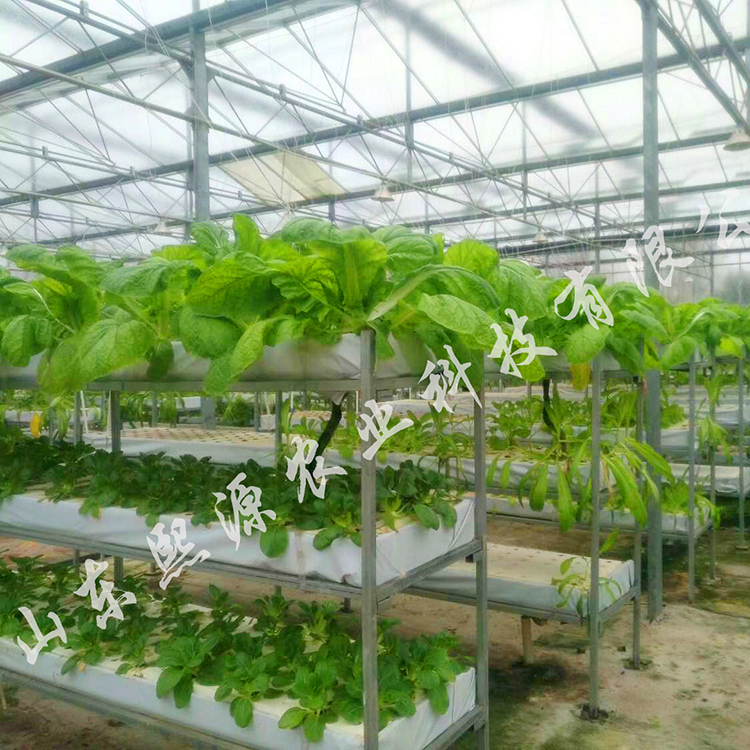 浅液流栽培 漂浮板种植 叶菜水培种植 立体种植 无土栽培