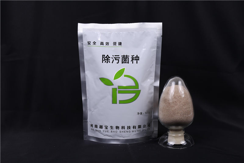 除污菌种,有效降低污泥产生量,净化水质,越宝厂家直供