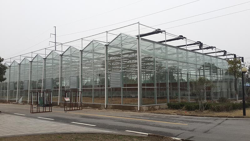 建造连栋温室大棚 连栋温室承建商