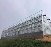 新型智能温室大棚 <em>农业</em>温室大棚