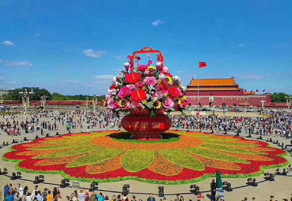 草花批发  草花基地  孔雀草  国庆草花