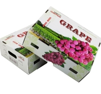 10斤葡萄包装纸箱 通用快递水果礼品盒 装葡萄红提子礼盒
