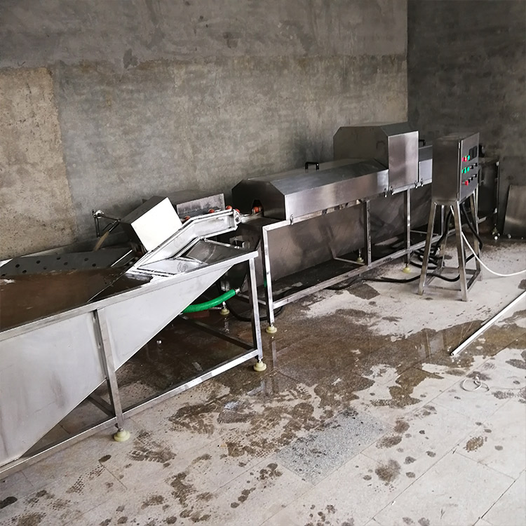 不锈钢洗蛋机 蛋类清洗分选光捡喷码流水线 鸡蛋泥蛋洗蛋机 全自动洗蛋机厂家直销新型